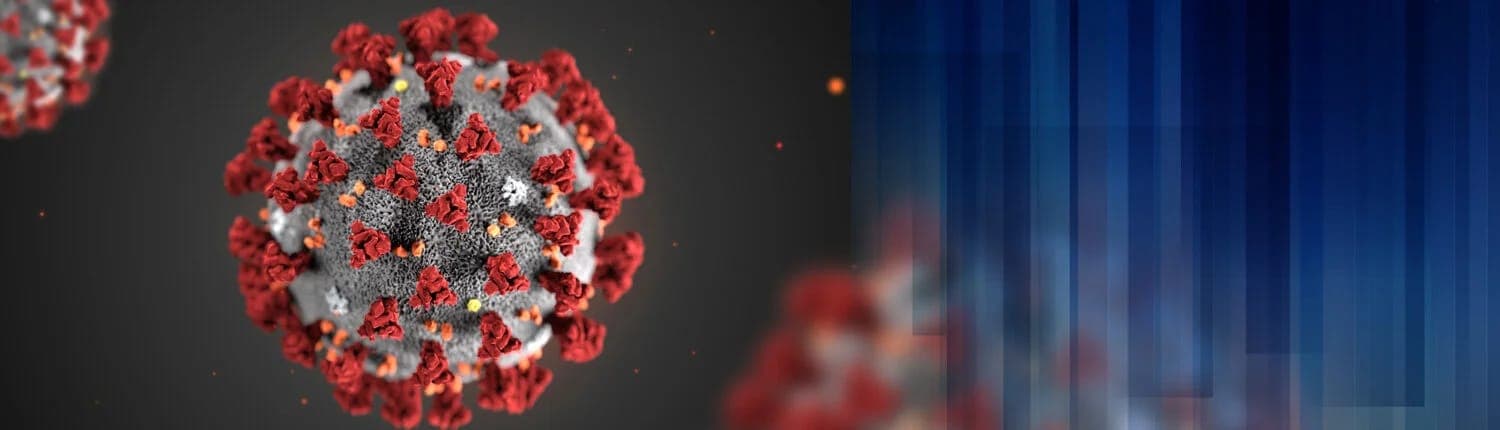 The Pandemic's Far-Reaching Breadth