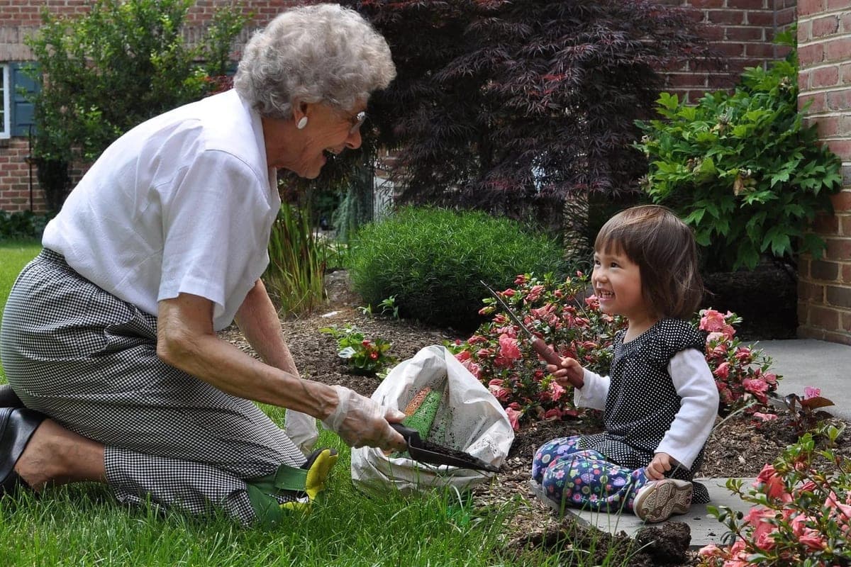 An older woman kneeling in a garden bed, laughing with a small child who holds a trowel